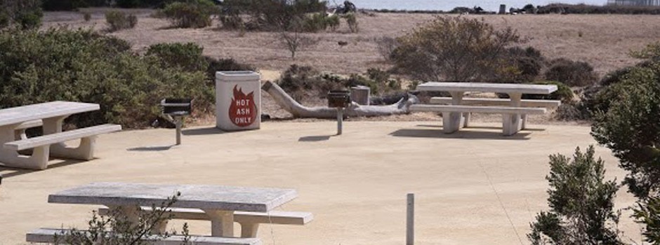 Have a sustainable barbecue