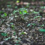 ball-shaped-environment-environmental-6047